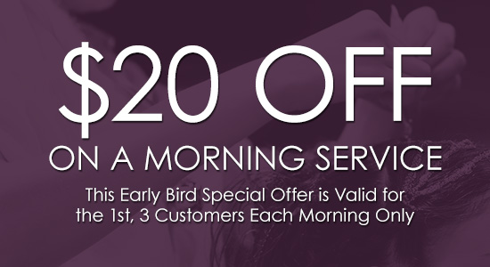 $20 Off On a Morning Service (This Early Bird Special Offer is Valid for the 1st, 3 Customers Each Morning Only)